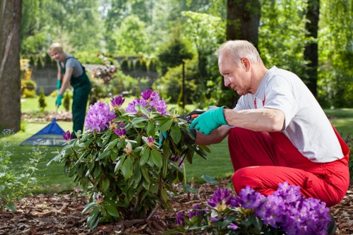 Estimator surveying a property for a free, itemised garden quote
