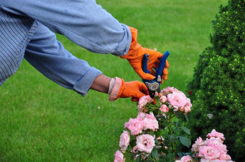 Garden clearance crew loading green waste in Sudbury
