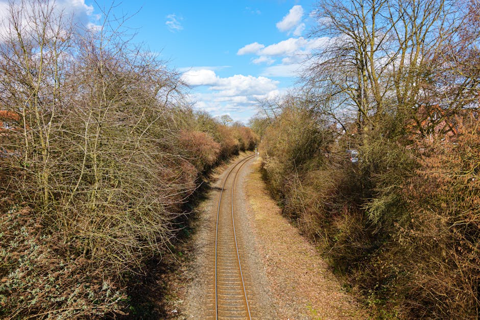 An elevated view of a railway track winding through a semi-rural area, flanked on both sides by dense, leafless trees and bushes with bare branches, indicating early spring or late winter. The track c