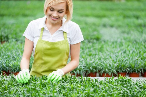 Professional garden maintenance services in Sudbury